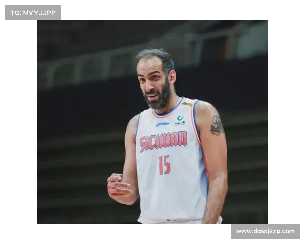 哈达迪为何迟迟不退役五大关键原因深度解析